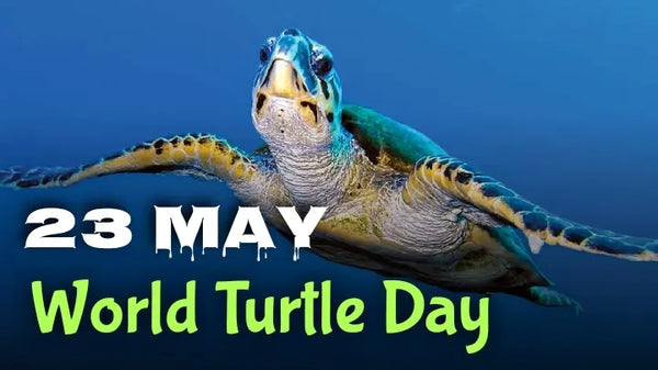 【The World Turtle Day 2023 is on May, 23. 】