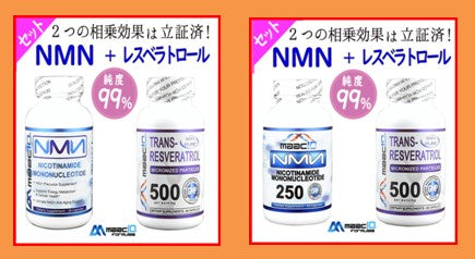 【MAAC10のTransResverationが本日入荷】