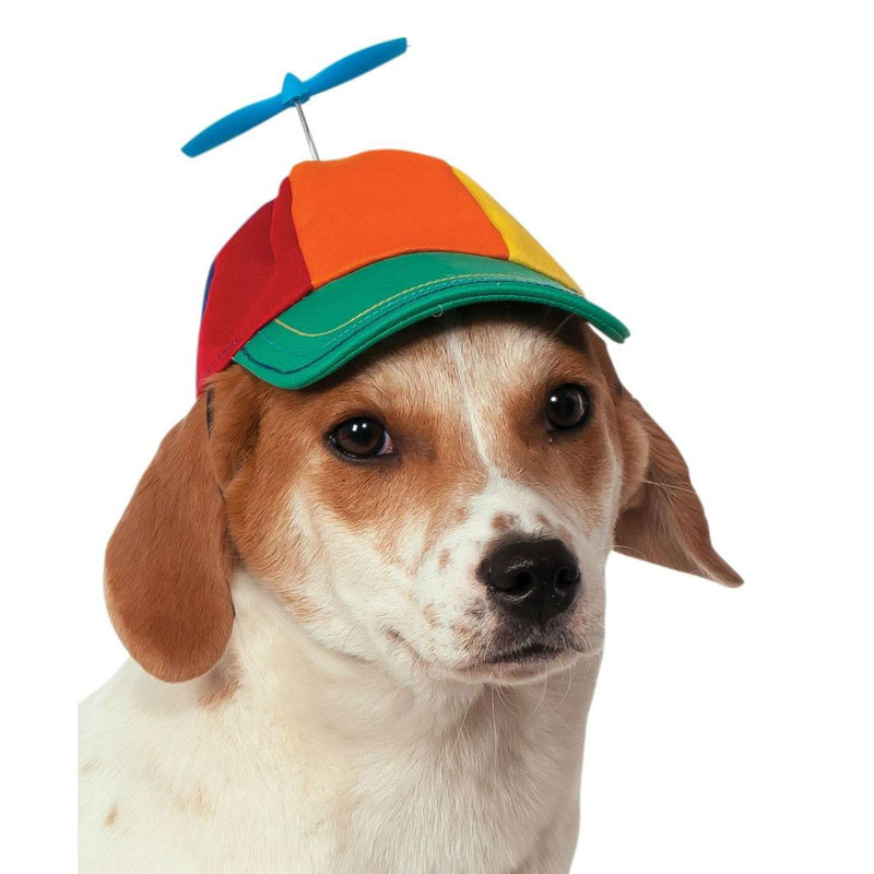 【A propeller hat for your dog】