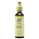 【花と草のナチュラルエッセンス】バッチ オリーブ（Bach Olive）／20ml