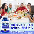 インスロード（インシュリン/インスリン模倣剤）120粒 Insuload