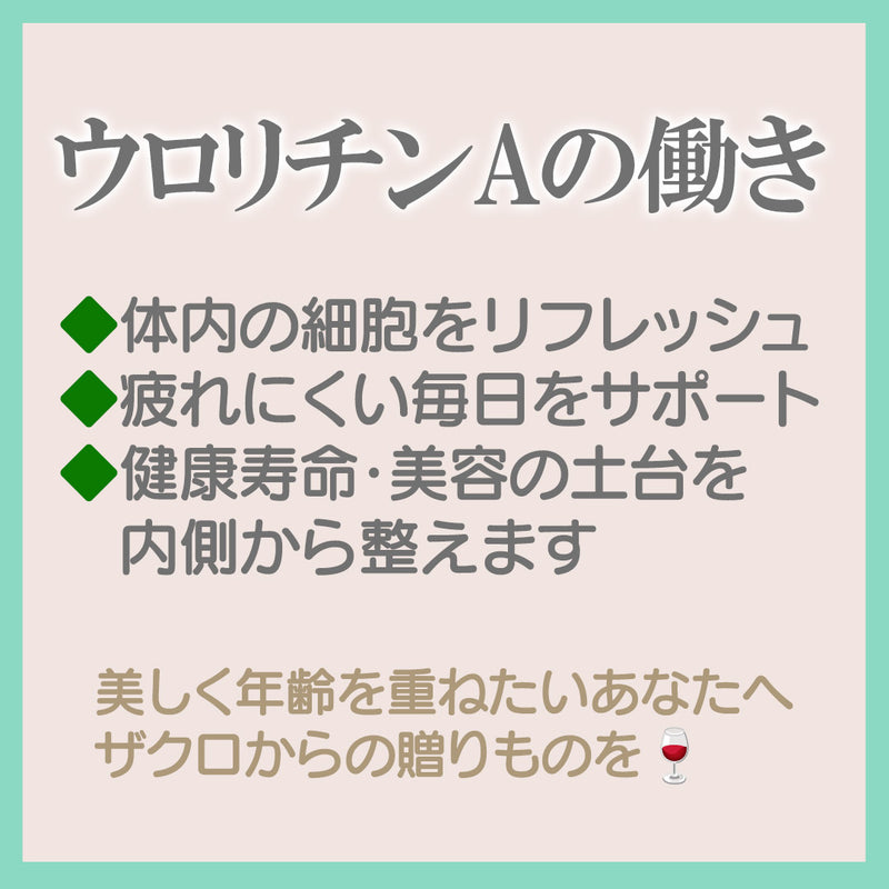 リポゾーマル ウロリチンA エターナル（レスベラトロール、CoQ10配合）／ 60ベジカプセル