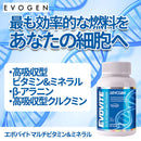 エボバイト マルチビタミン＆ミネラル 60粒 Evovite Multivitamin EVOGEN（エボジェン/エヴォジェン）