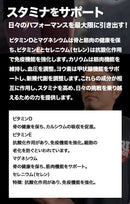 【小瓶で使いやすい1ヶ月分】ギャスパリ Anavite アナバイト／90粒（タブレット）